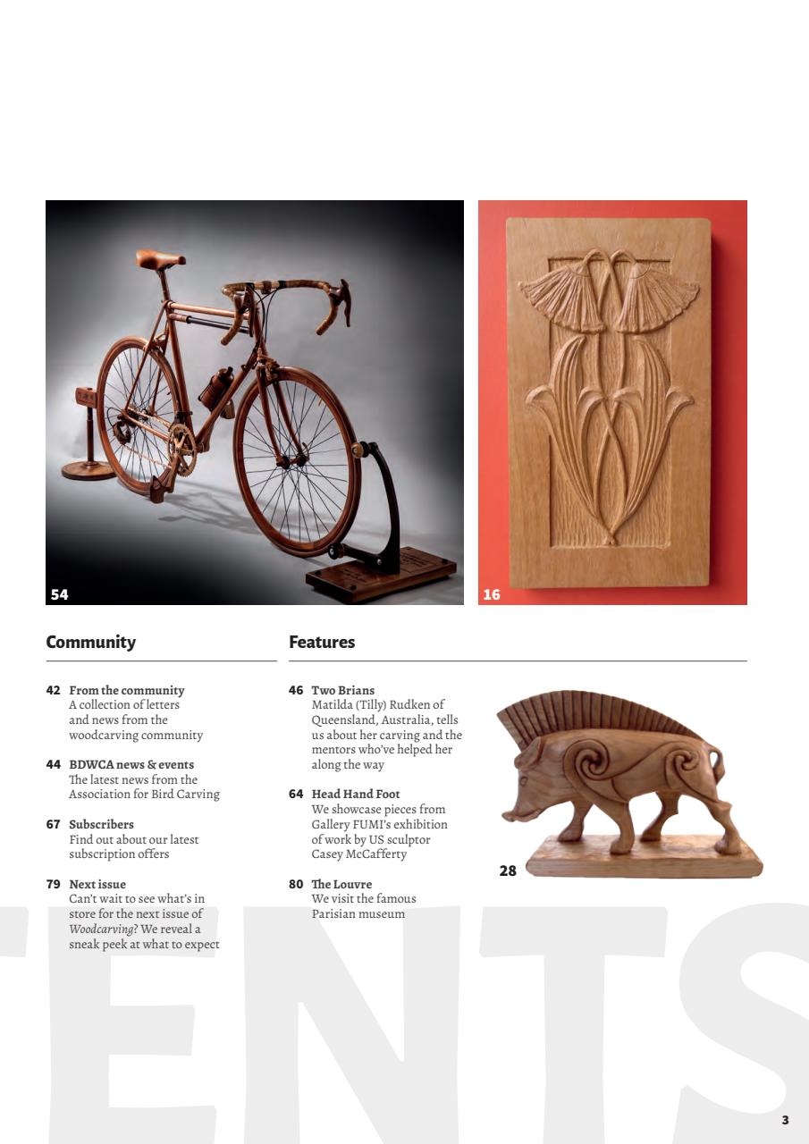 Woodcarving Preview Pages