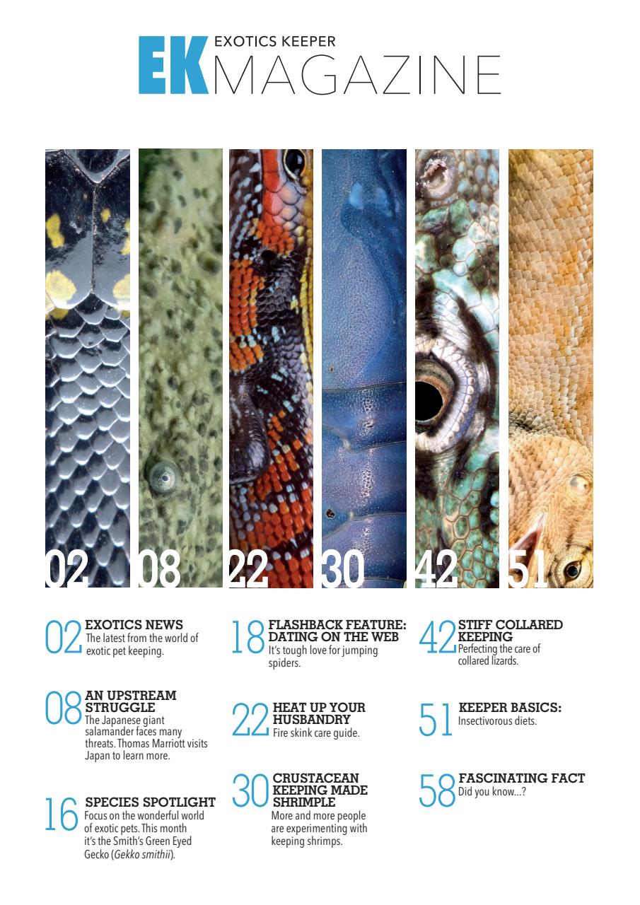 Exotics Keeper Preview Pages