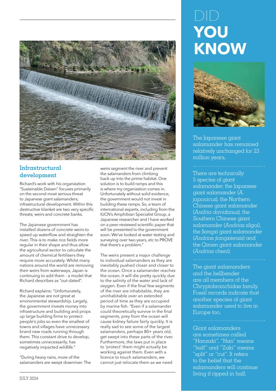 Exotics Keeper Preview Pages