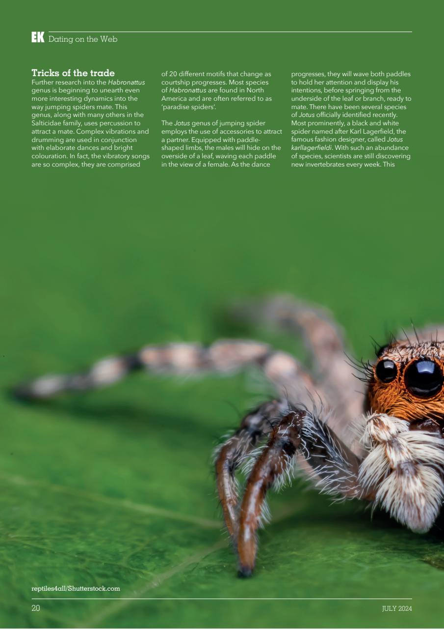 Exotics Keeper Preview Pages