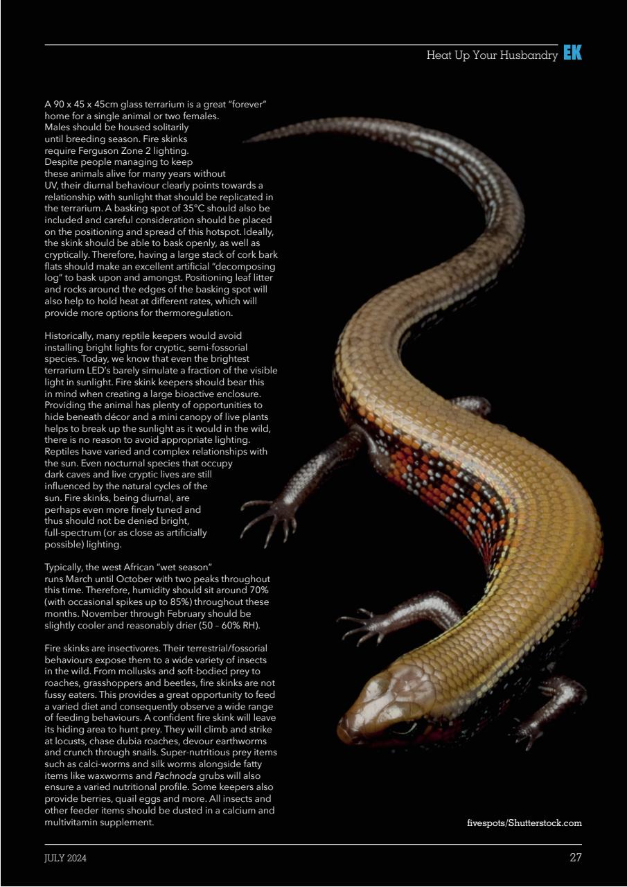 Exotics Keeper Preview Pages