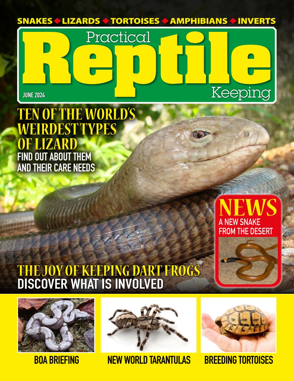 Practical Reptile Keeping Preview Pages