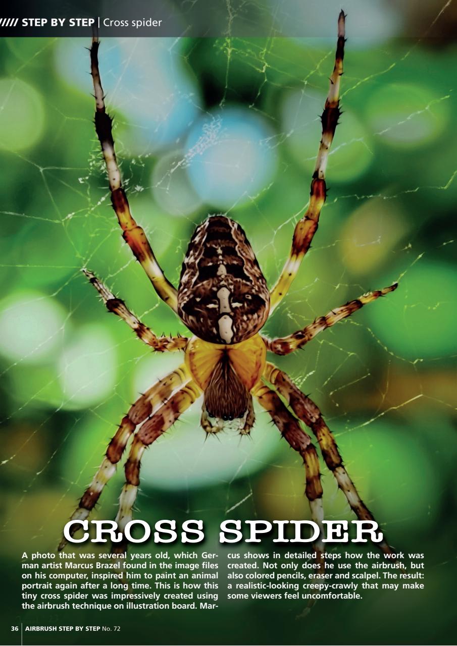 Airbrush Step by Step Preview Pages