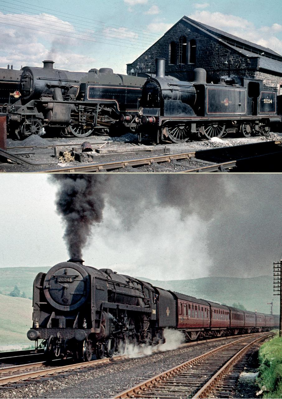 Backtrack Preview Pages