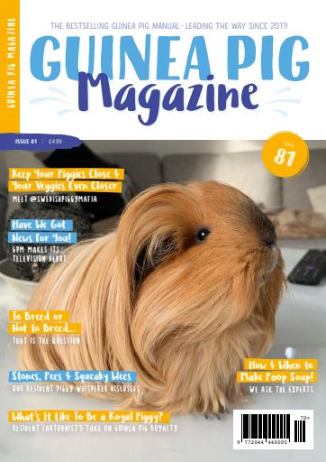 Guinea Pig Magazine issue 