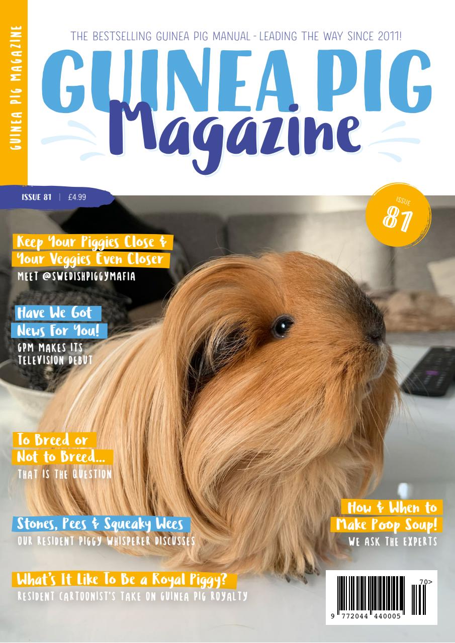 Guinea Pig Magazine Preview Pages