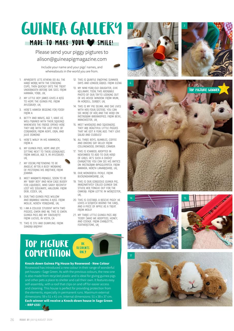 Guinea Pig Magazine Preview Pages