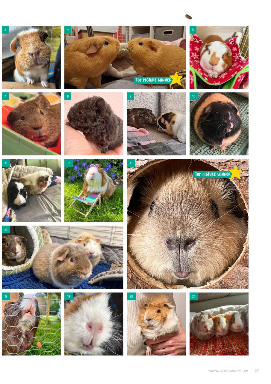 Guinea Pig Magazine Preview Pages
