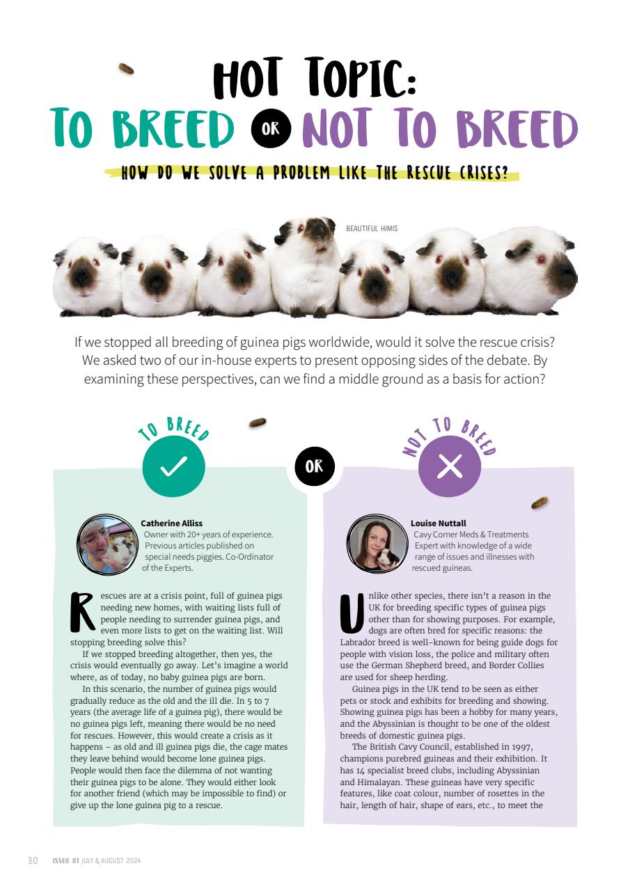 Guinea Pig Magazine Preview Pages