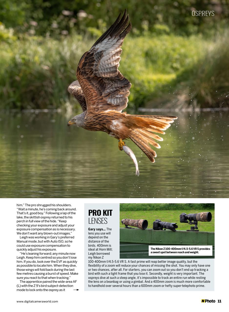 N-Photo Preview Pages