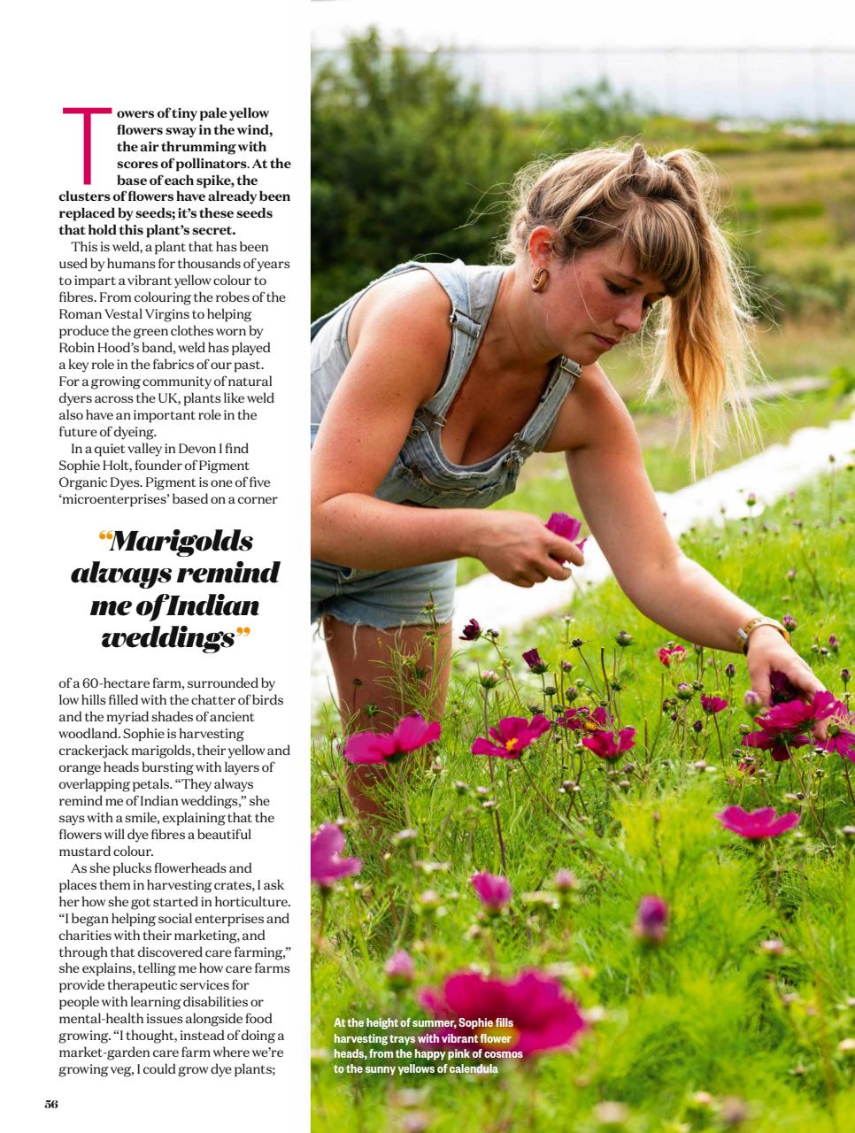 BBC Countryfile Magazine Preview Pages
