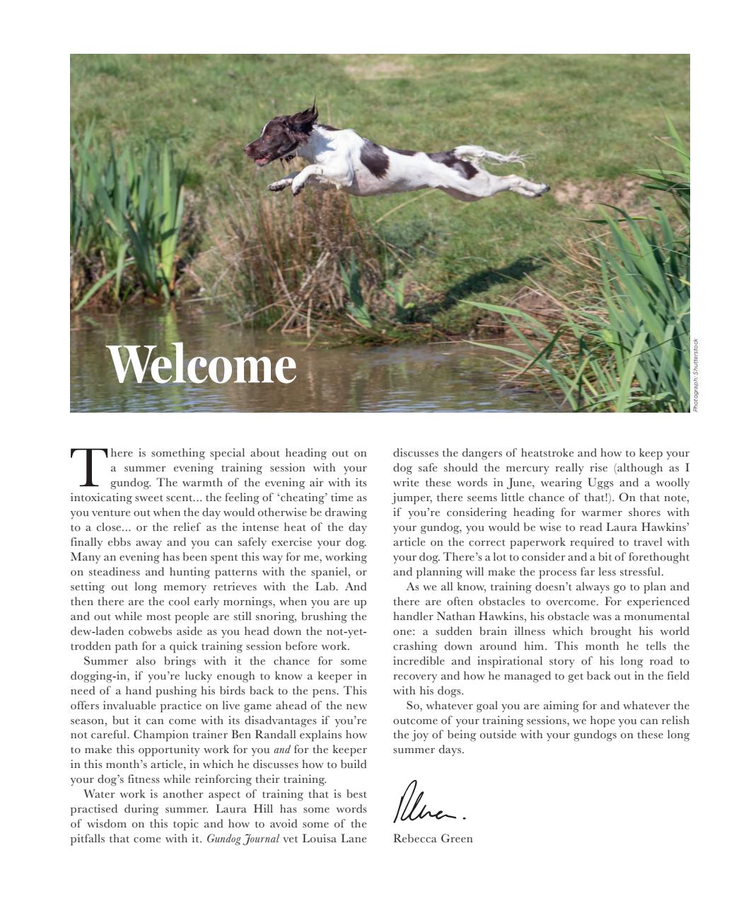 Gundog Journal Preview Pages