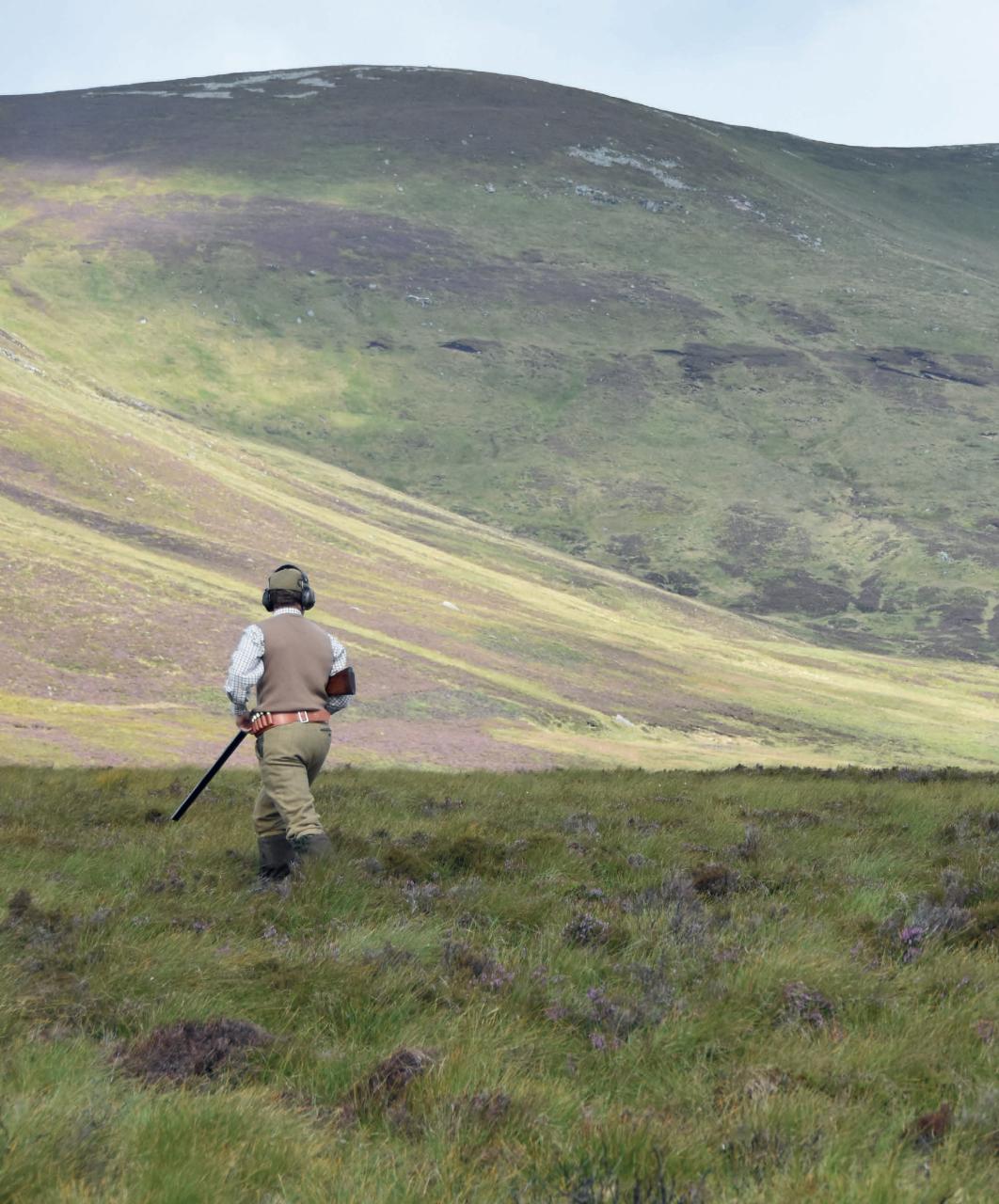 Gundog Journal Preview Pages