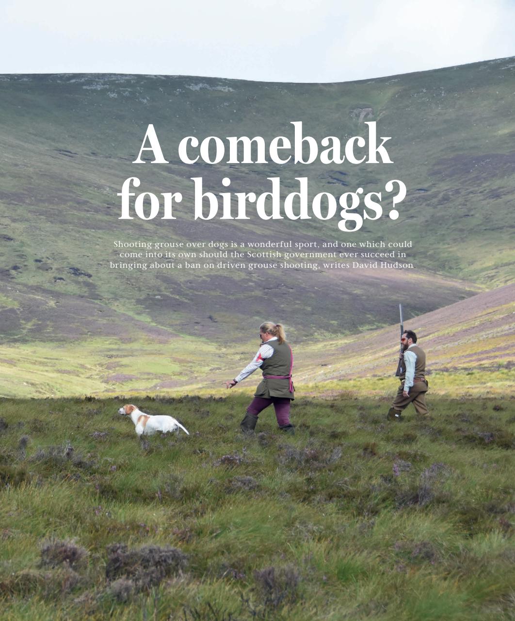 Gundog Journal Preview Pages