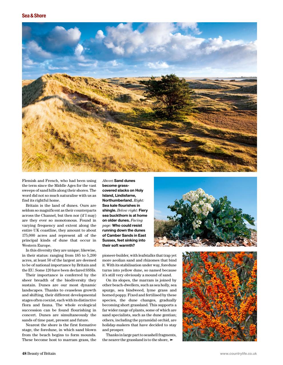 Country Life Bookazine Preview Pages