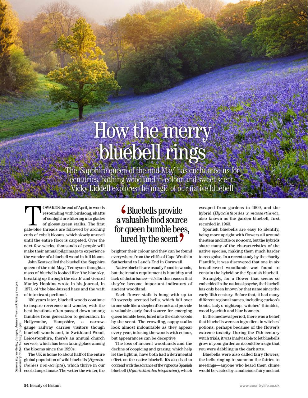 Country Life Bookazine Preview Pages