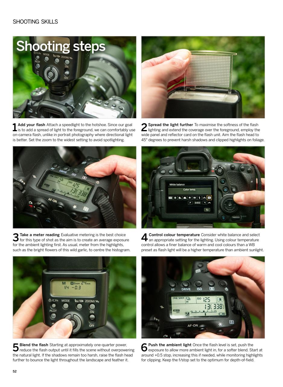 Digital Photographer Preview Pages