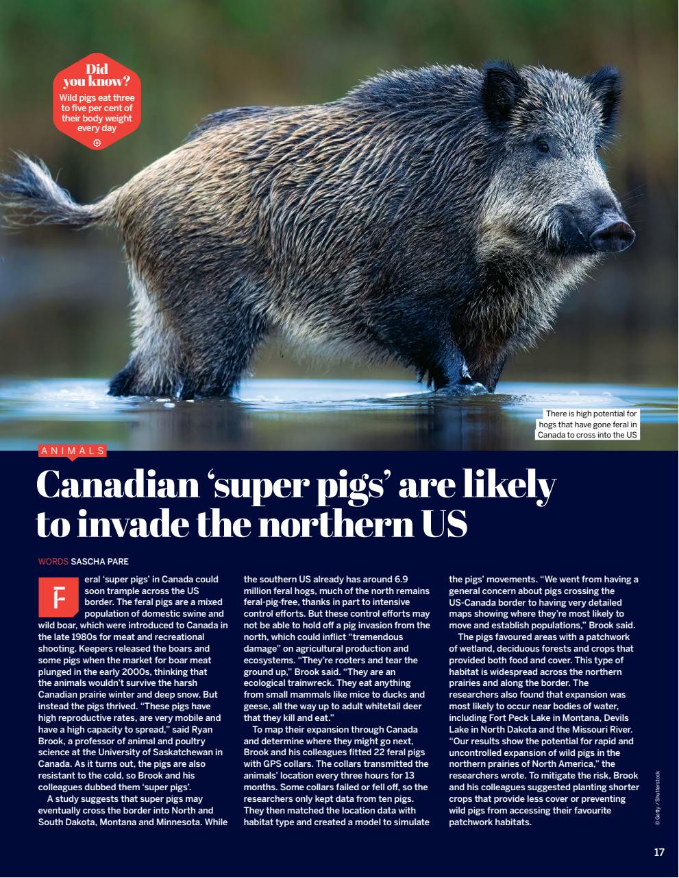 How It Works Preview Pages