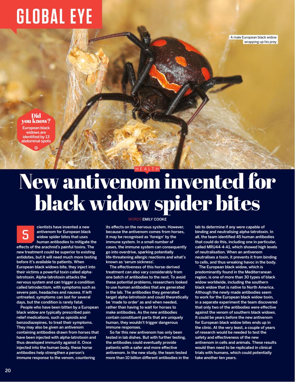 How It Works Preview Pages