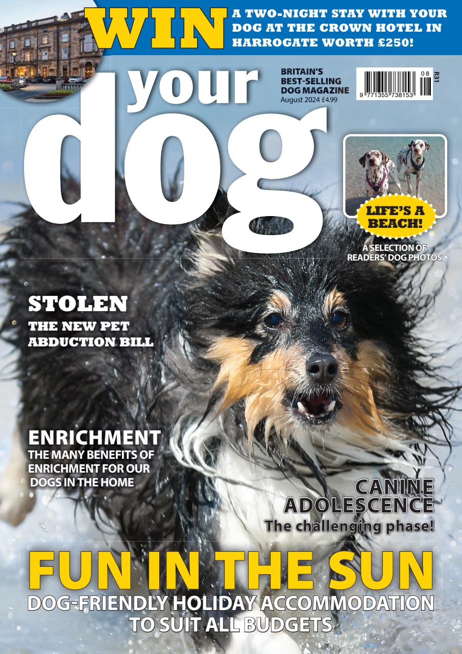 Your Dog Preview Pages