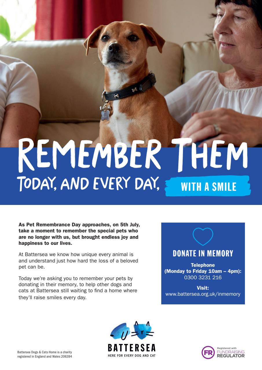 Your Dog Preview Pages