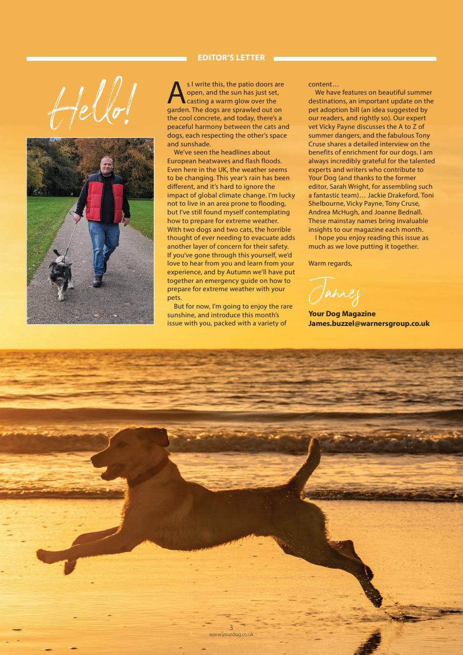 Your Dog Preview Pages