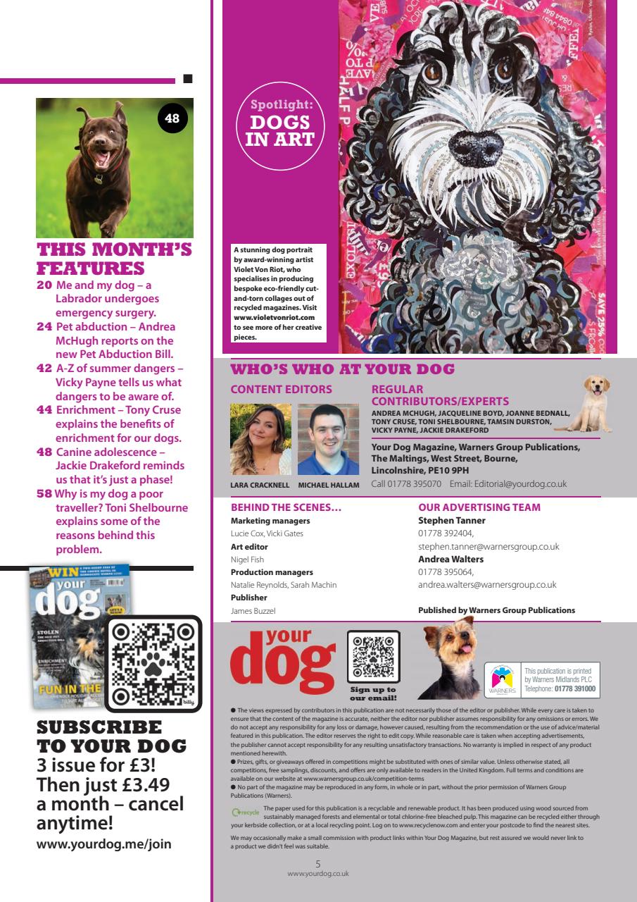 Your Dog Preview Pages