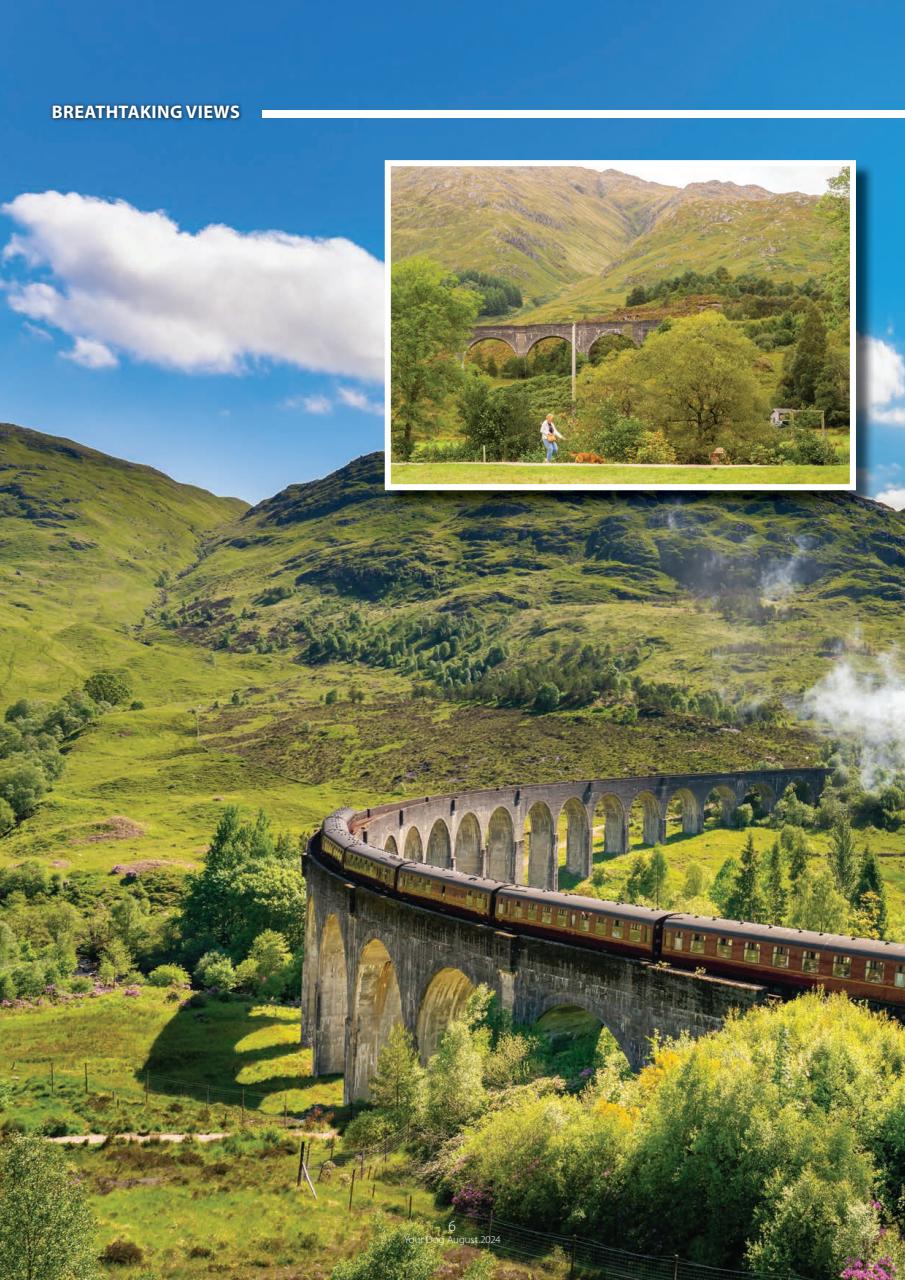 Your Dog Preview Pages