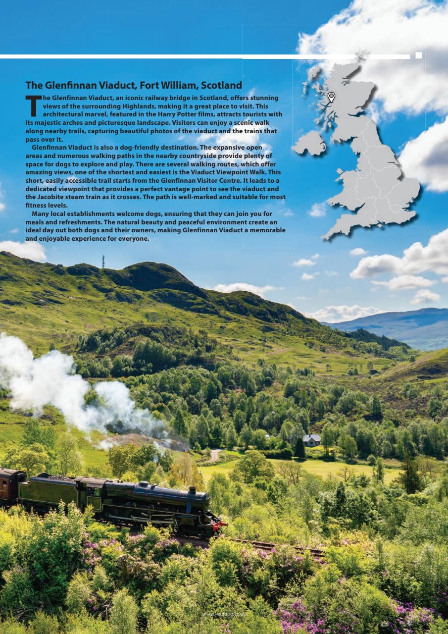 Your Dog Preview Pages