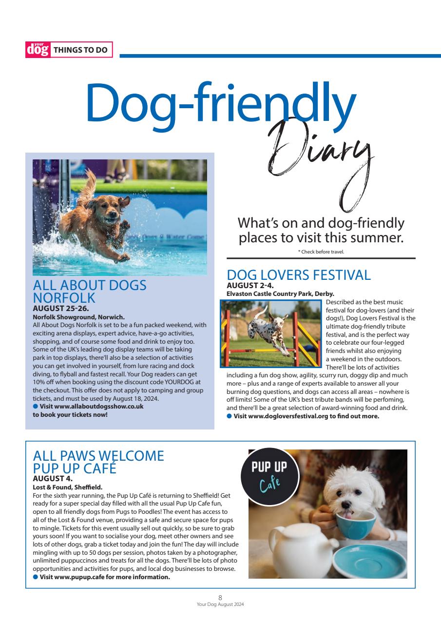 Your Dog Preview Pages