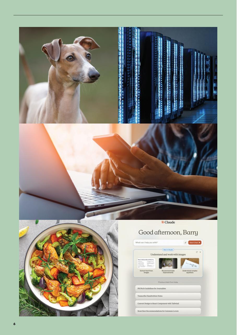 How To Preview Pages