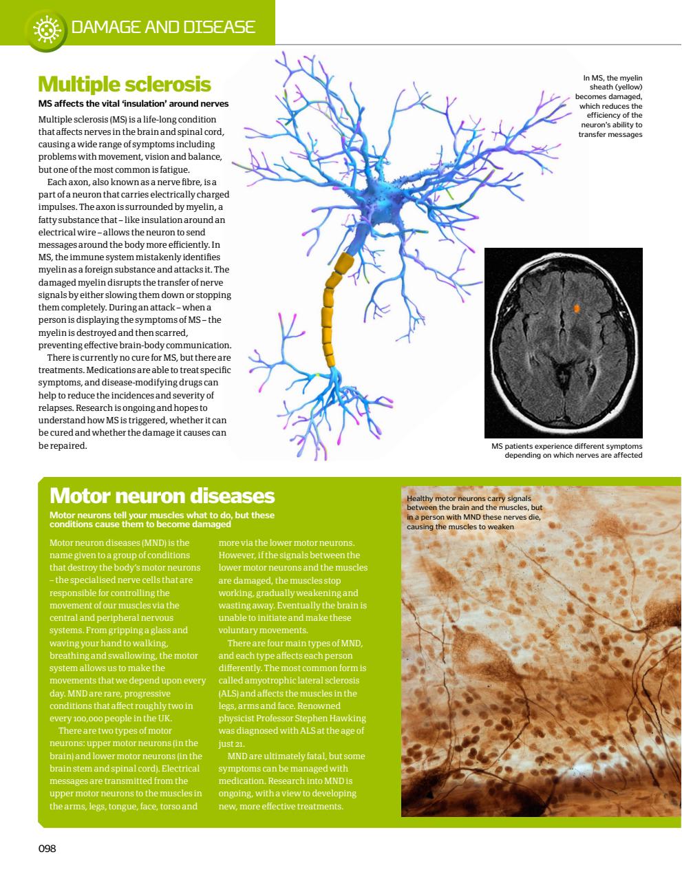 How It Works Bookazine Preview Pages