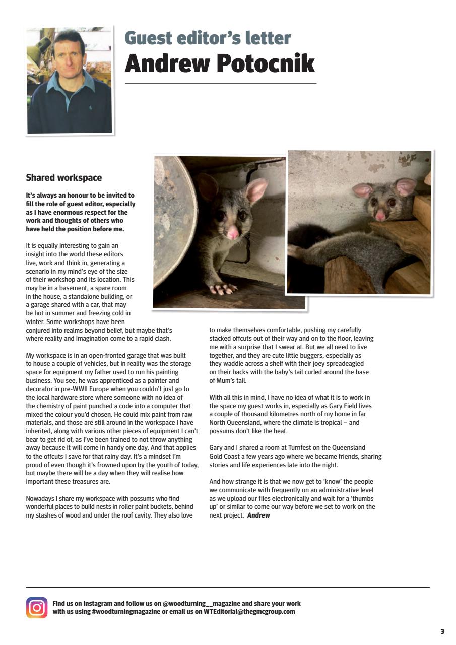 Woodturning Preview Pages