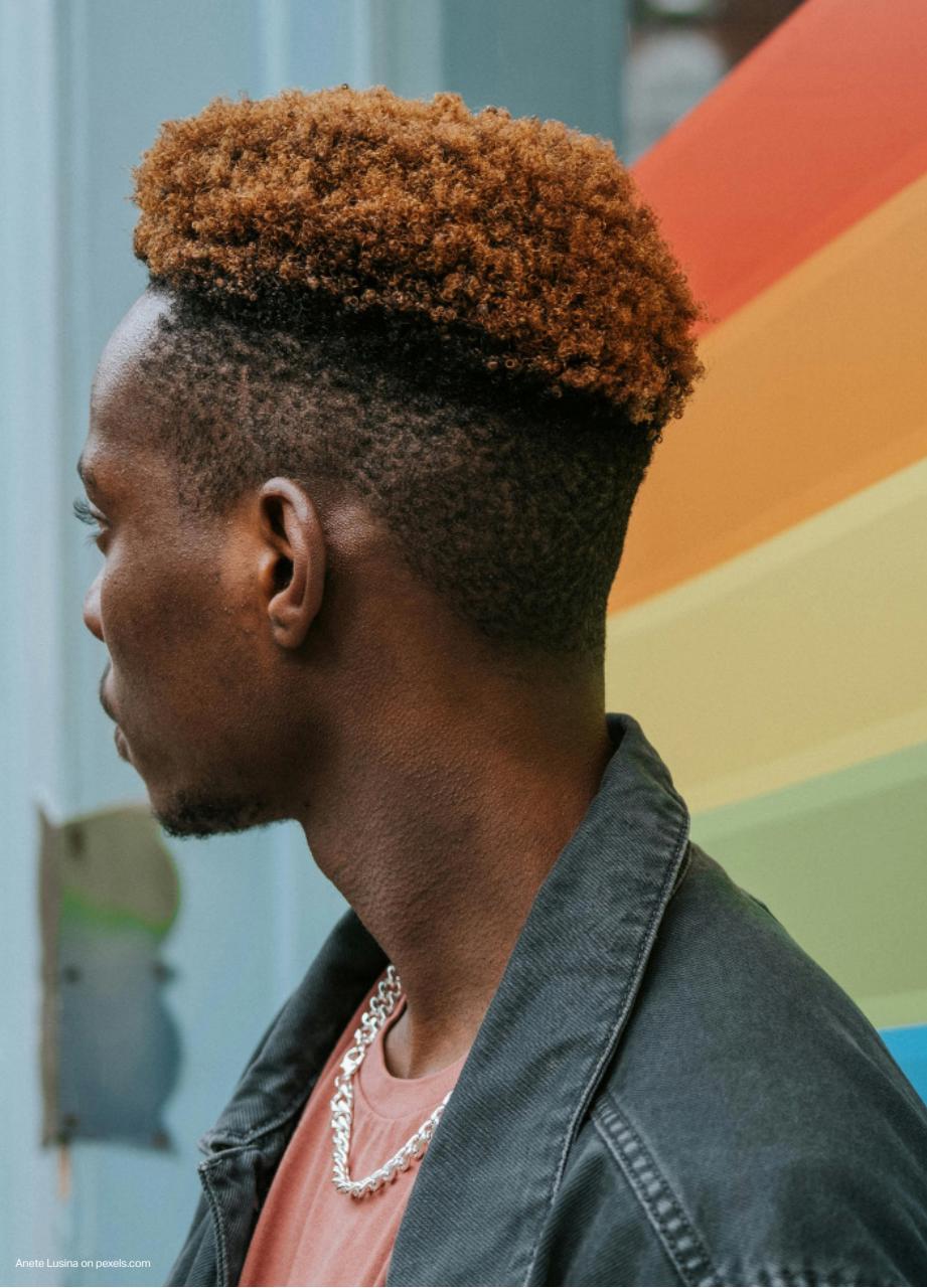 FS International Preview Pages