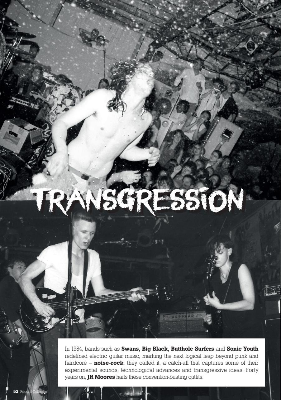 Record Collector Preview Pages