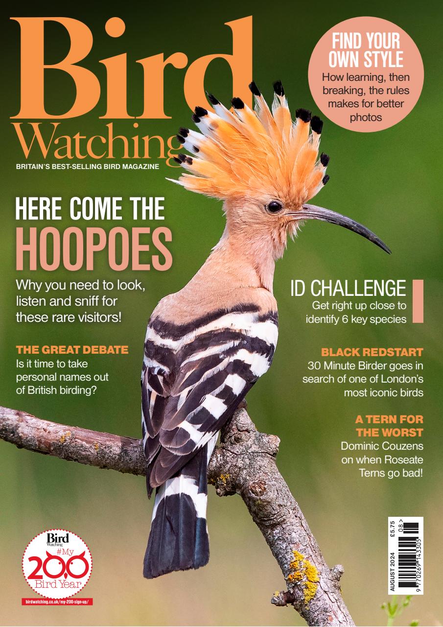 Bird Watching Preview Pages