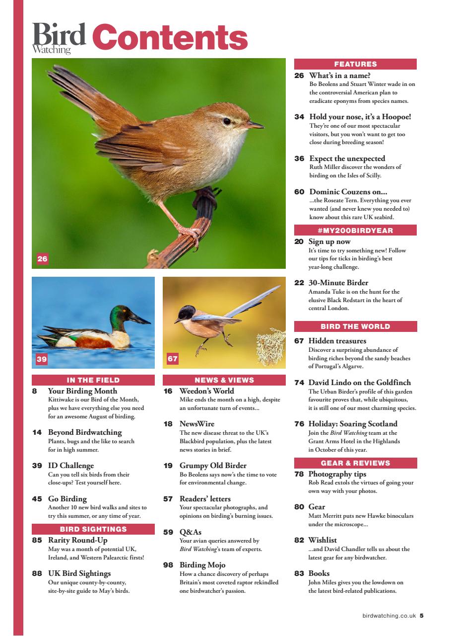 Bird Watching Preview Pages