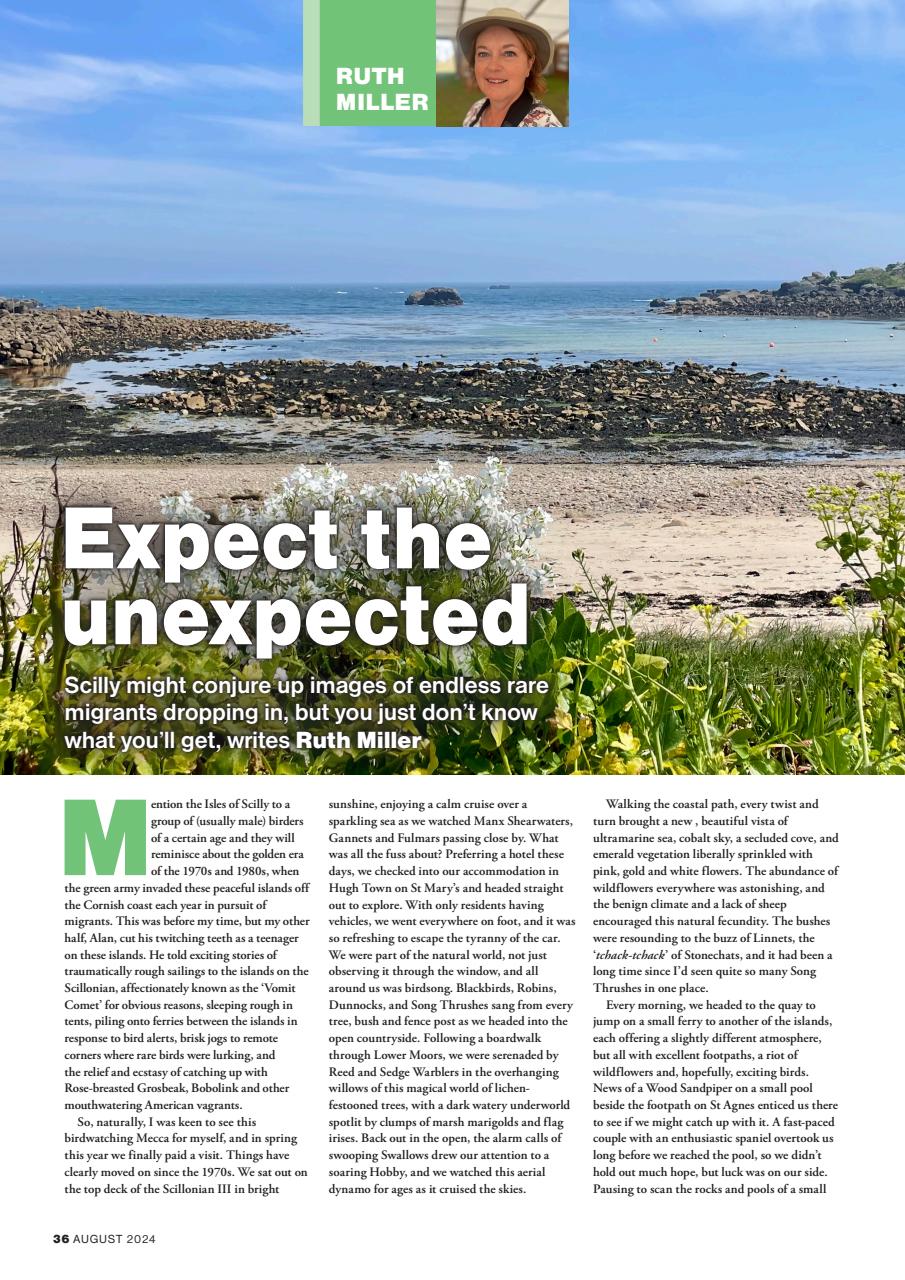 Bird Watching Preview Pages