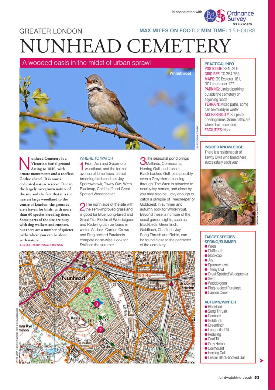 Bird Watching Preview Pages