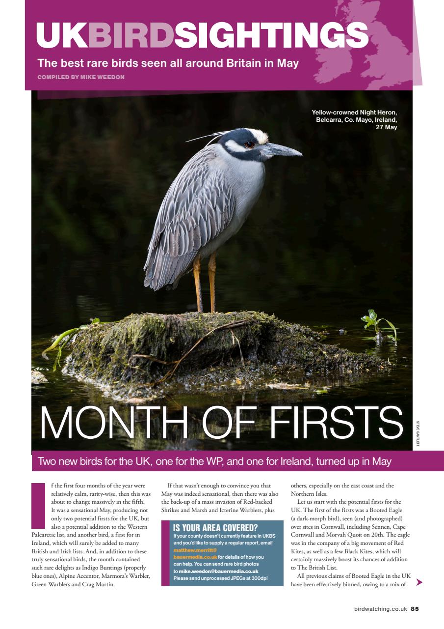 Bird Watching Preview Pages