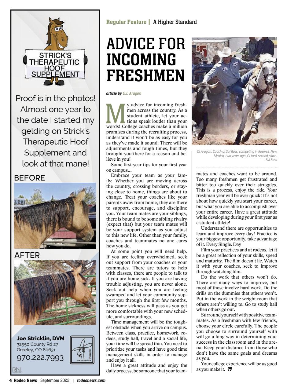 Rodeo Life Preview Pages