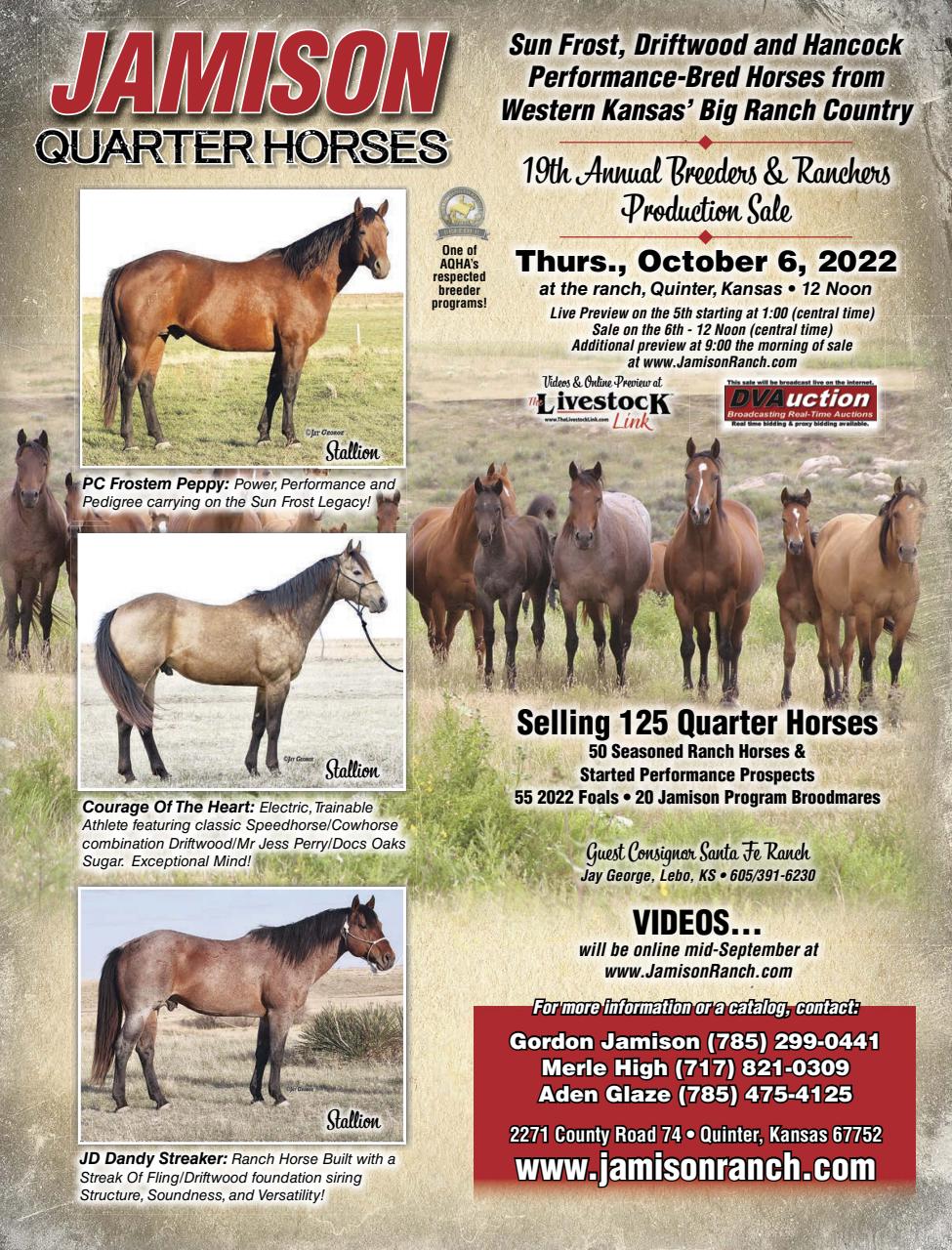 Rodeo Life Preview Pages