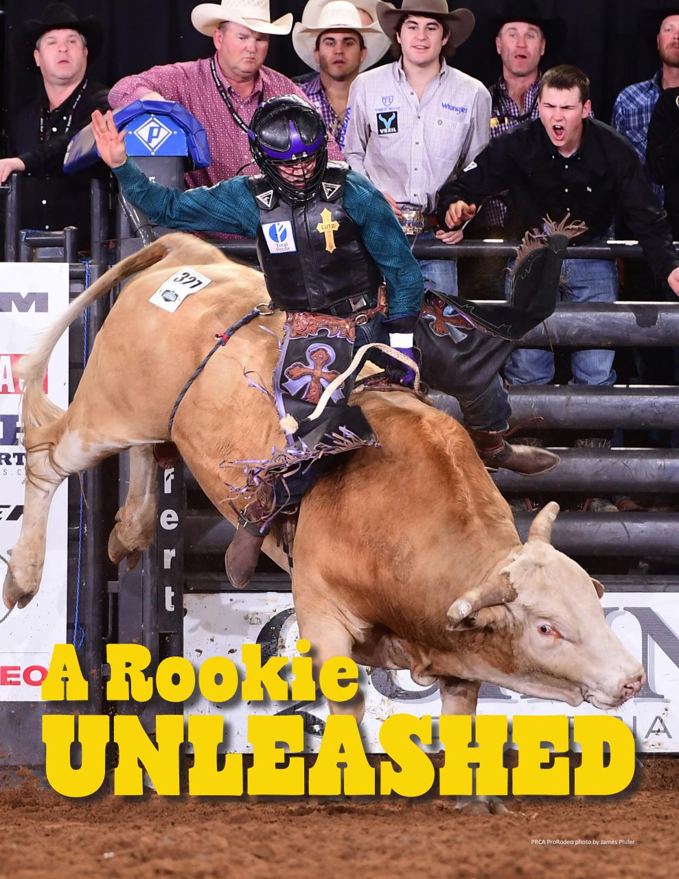 Rodeo Life Preview Pages