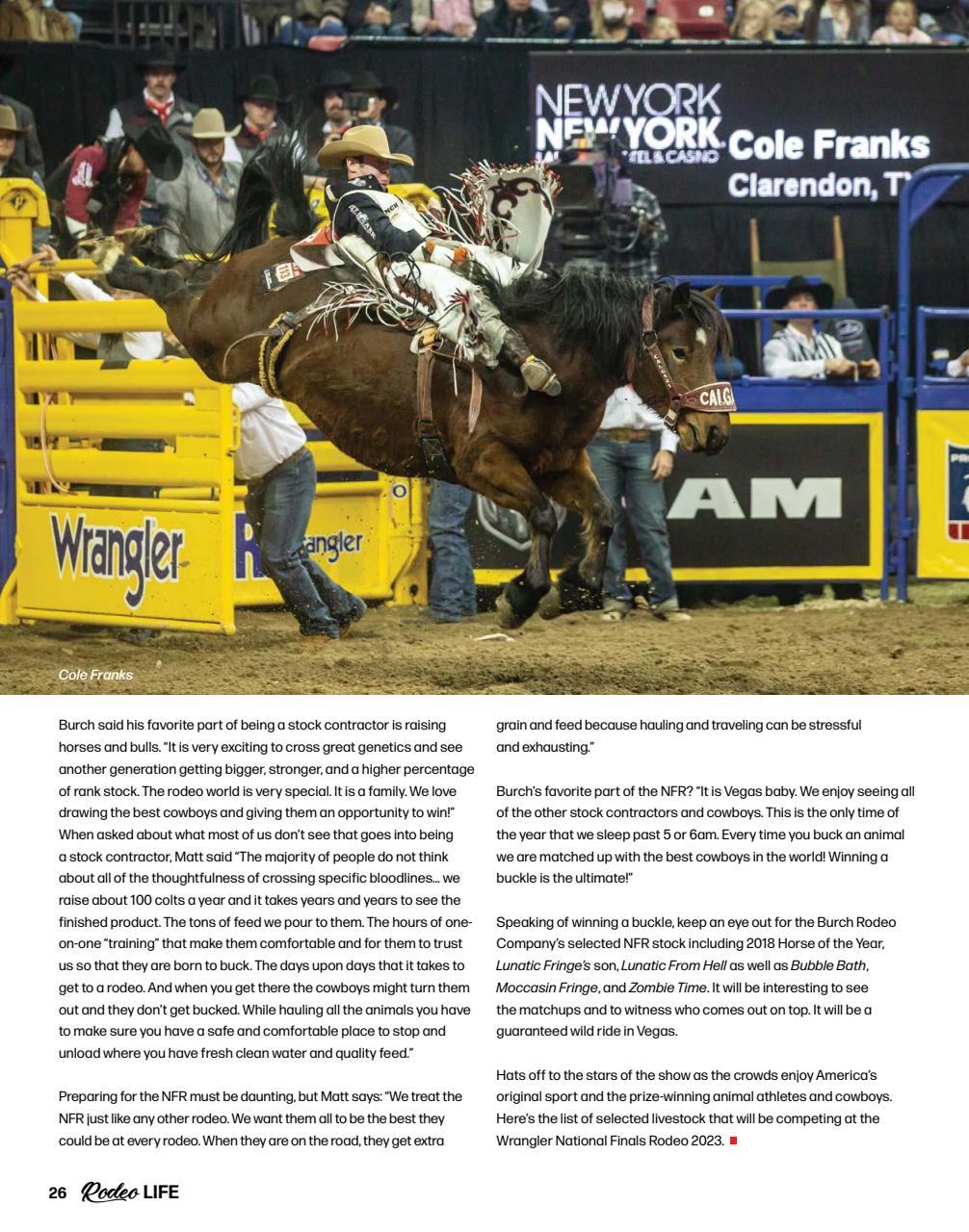 Rodeo Life Preview Pages