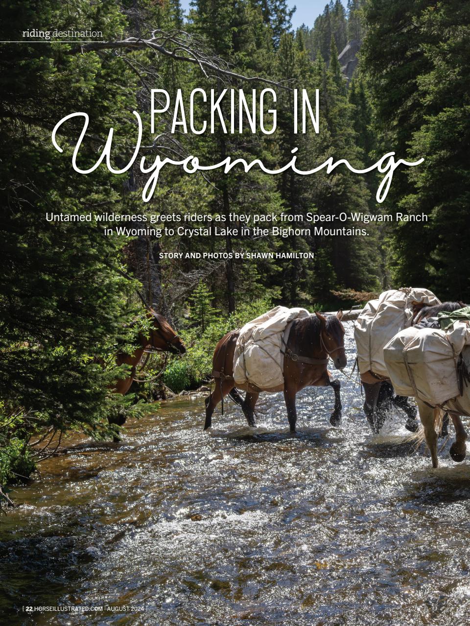 Horse Illustrated Magazine Preview Pages