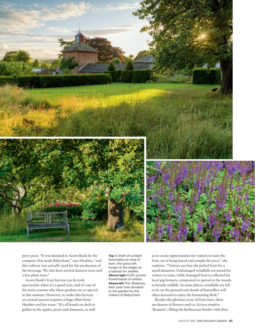 The English Garden Preview Pages
