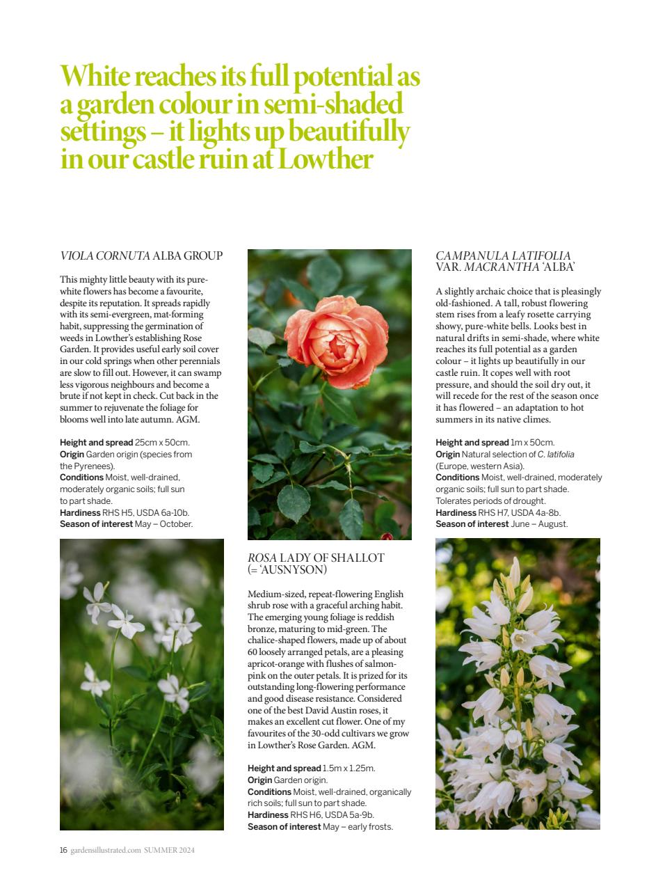 Gardens Illustrated Preview Pages