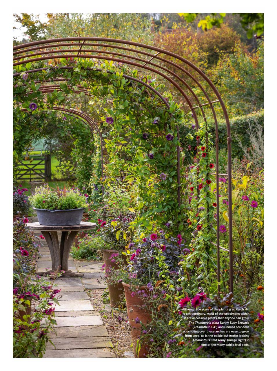 Gardens Illustrated Preview Pages