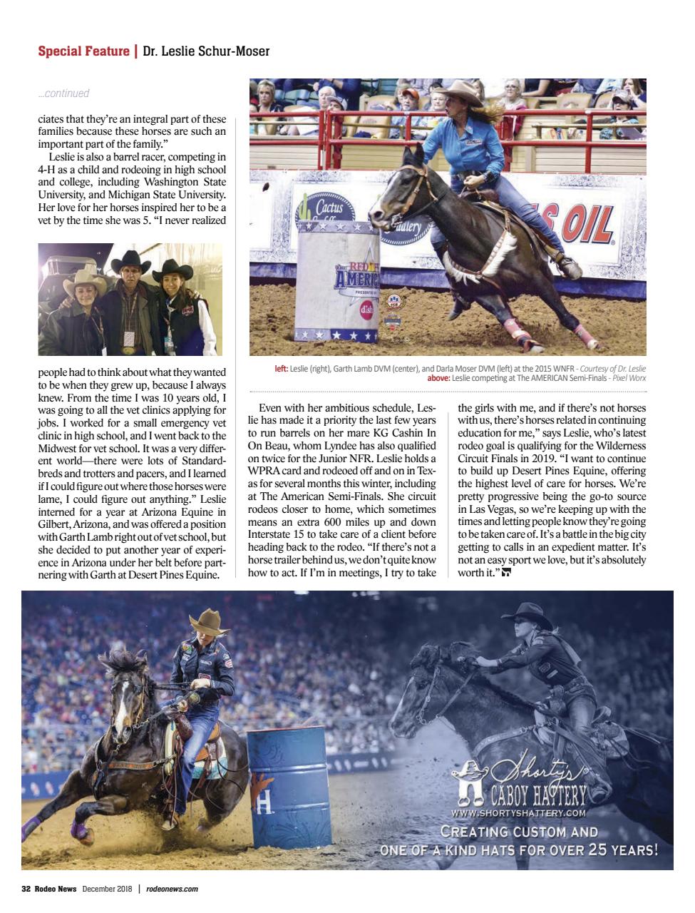 Rodeo Life Preview Pages