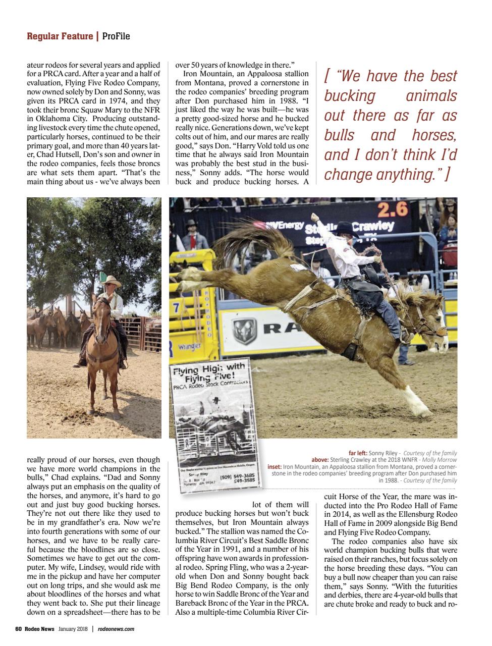 Rodeo Life Preview Pages